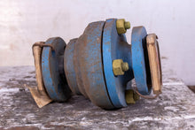 Load image into Gallery viewer, Dow Kynar Steel Check Valve 355