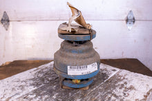 Load image into Gallery viewer, Dow Kynar Steel Check Valve 355