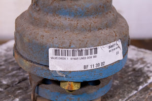 Dow Kynar Steel Check Valve 355