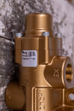 Load image into Gallery viewer, Versa VIZ-3601-LOVE Valve