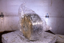 Load image into Gallery viewer, AEC 8320A&amp;B 658413307 Ball Bearing Set