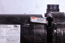 Load image into Gallery viewer, Dayton 2ZXJ8 PP2LTAE23SCG Centrifugal Pump 208-230/460V