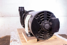 Load image into Gallery viewer, Dayton 2ZXJ8 PP2LTAE23SCG Centrifugal Pump 208-230/460V