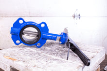 Load image into Gallery viewer, Smith-Cooper Series 160 SS316 EPDM Butterfly Valve
