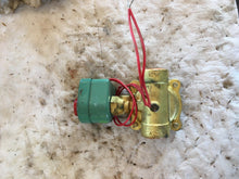 Load image into Gallery viewer, Asco Red Hat Solenoid Valve 8210D14 120/60 110/50