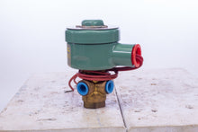 Load image into Gallery viewer, Asco Red-Hat 8320A175 Solenoid Valve